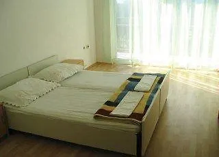 Perkovic Ana