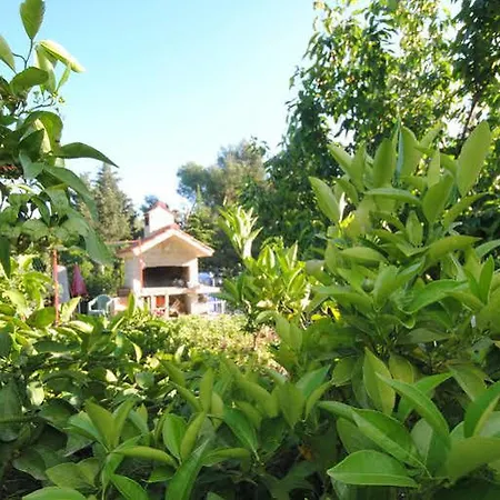 Ξενοδοχείο Perkovic Ana 3*