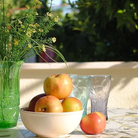 호텔 Perkovic Ana 3*