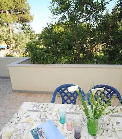 Apartment Perkovic Ana *